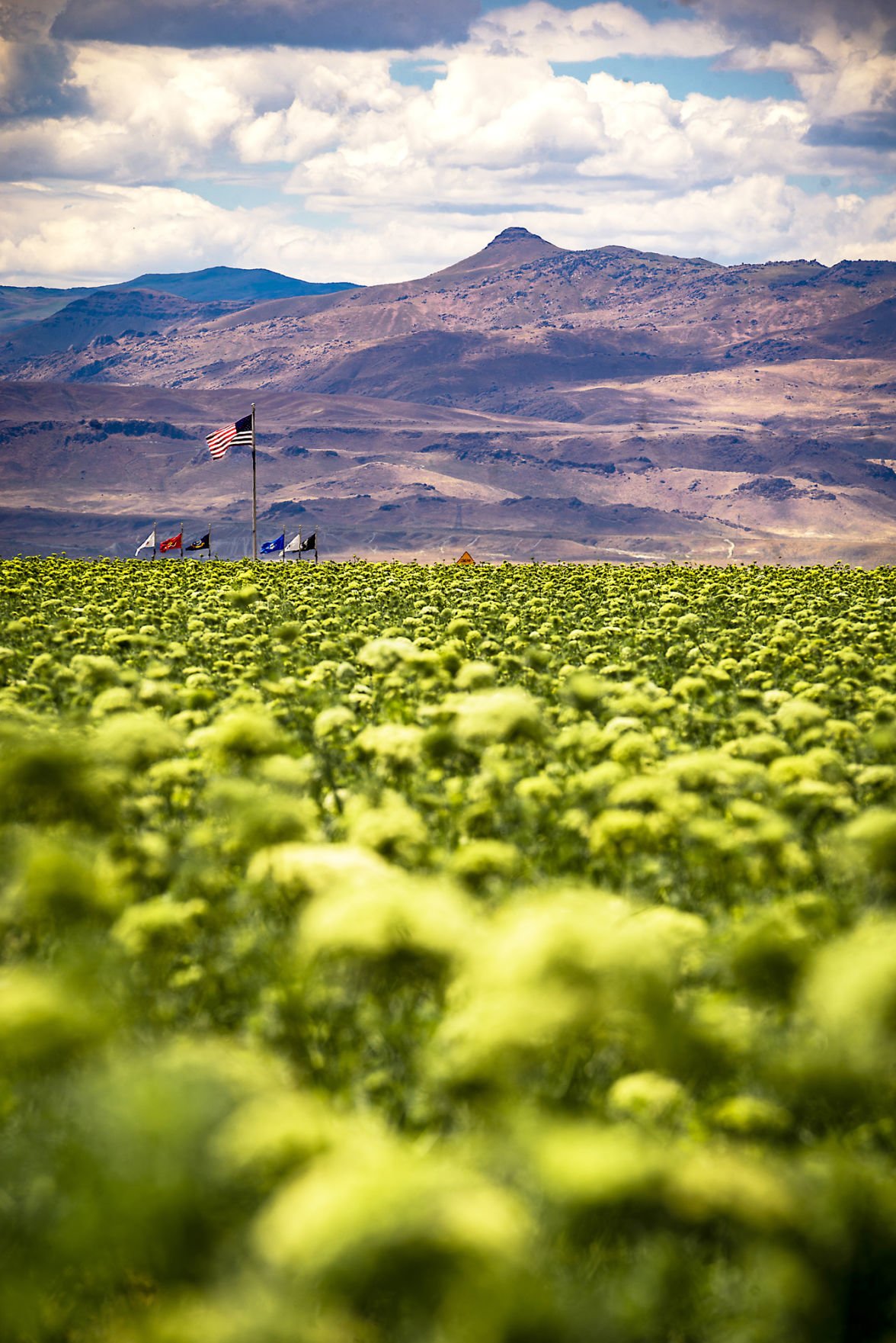 Melba honors longtime resident, historical society member as grand