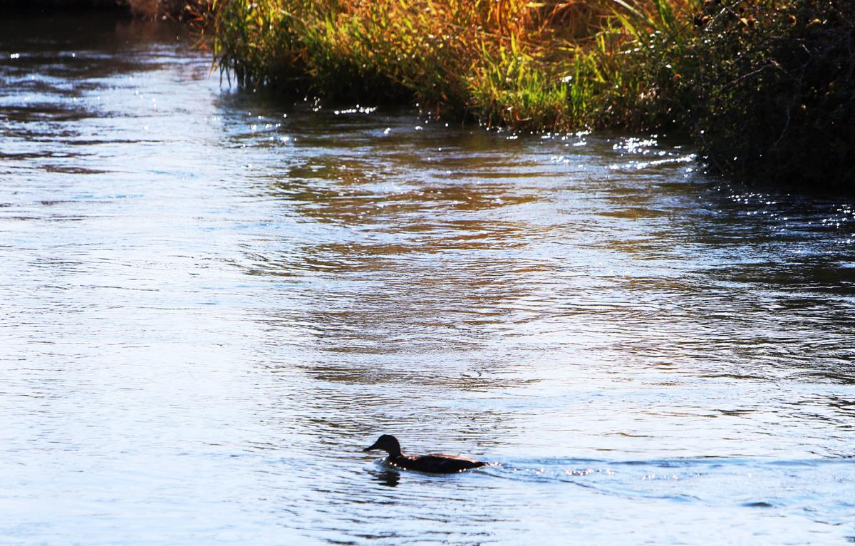 Treasure Valley Urbanization Muddies Role Of Irrigation Water Local News Idahopress Com