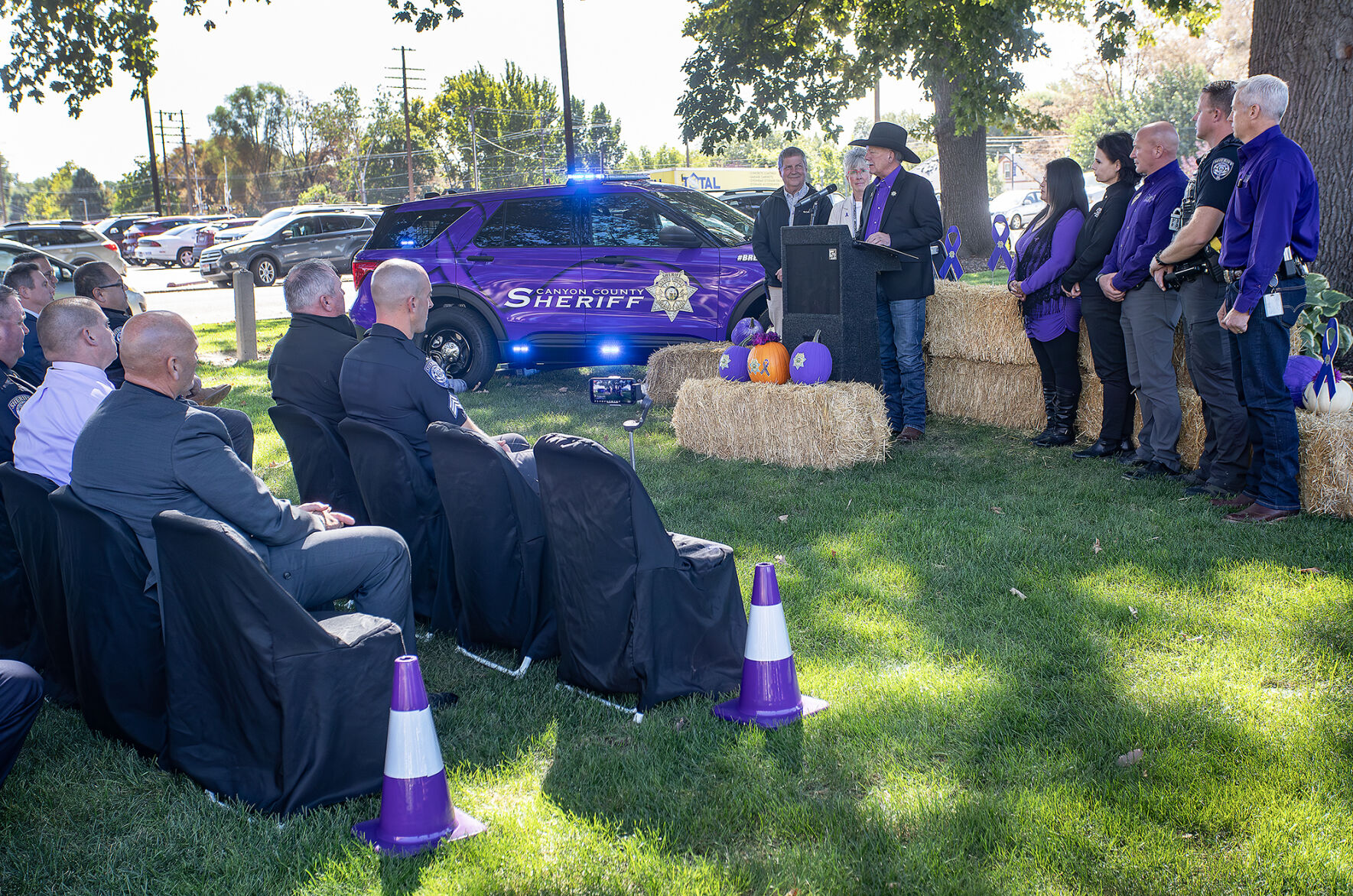 Cook County Sheriff Domestic deals Violence Awareness Star