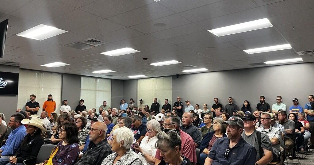 Flock camera critics speak out against surveillance use at Caldwell City Council meeting