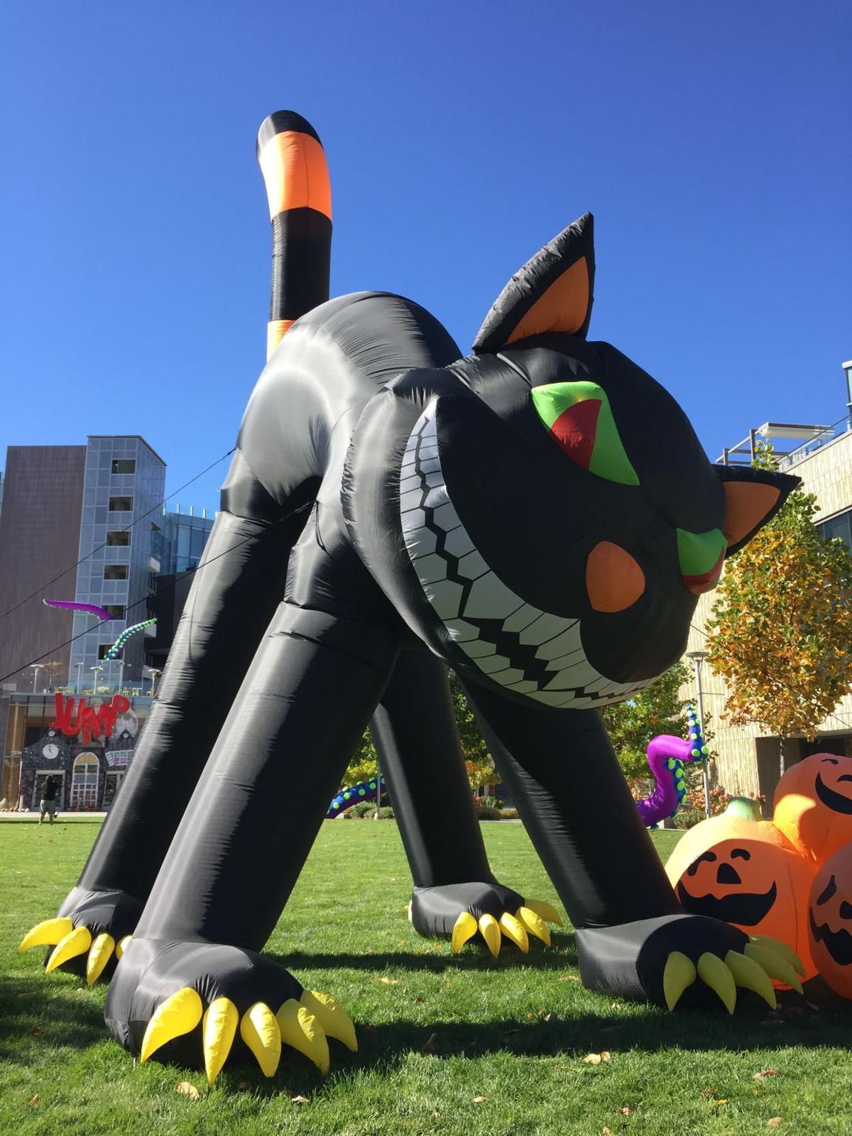 JUMP Rolls Out the Pumpkins, Altars for 2020 Halloween, Dia de Muertos