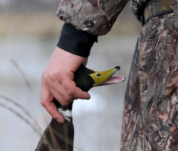 Veterans go duck hunting | Photos | idahopress.com
