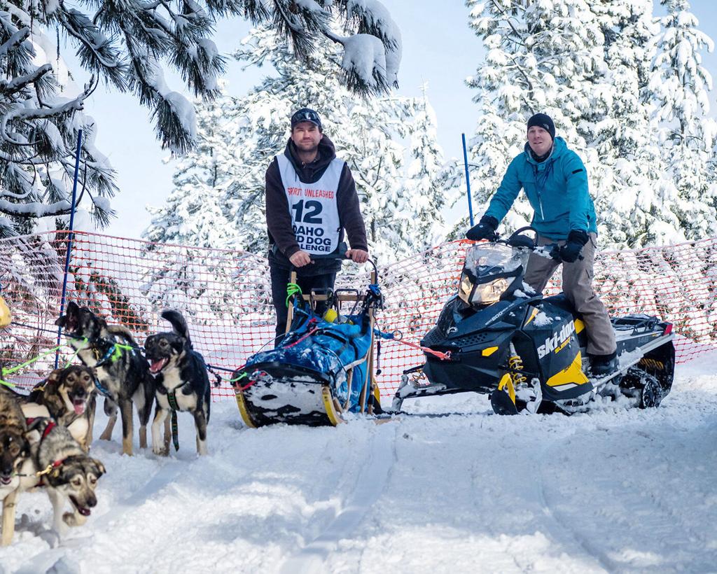 Olney Musher Returns to Idaho Sled Dog Challenge - Flathead Beacon