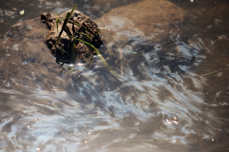 Idaho DEQ monitors Mason Creek in Lakeview Park after Nampa oil spill