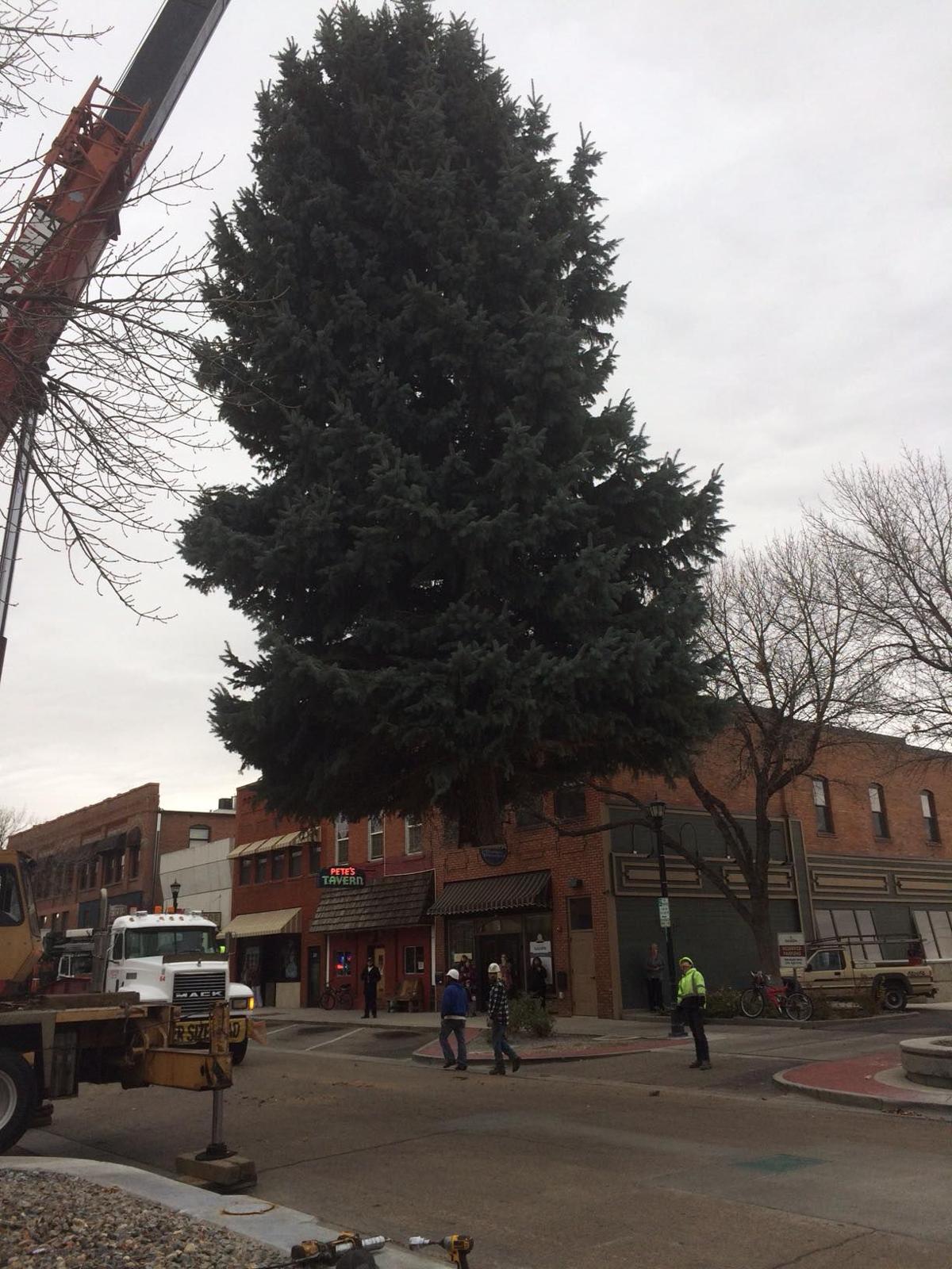 Community Invited To Downtown Nampa Tree Lighting - Local News Community Invited To Downtown Nampa Tree Lighting - Local News