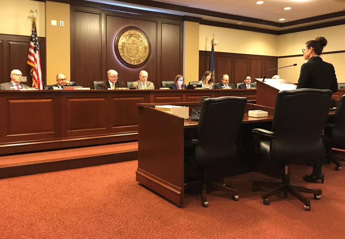 Senate Panel Backs Existing School Standards Halting House Move