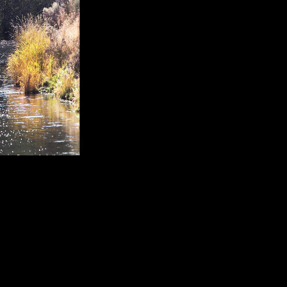 Irrigation season begins Water to fill Nampa & Meridian Irrigation