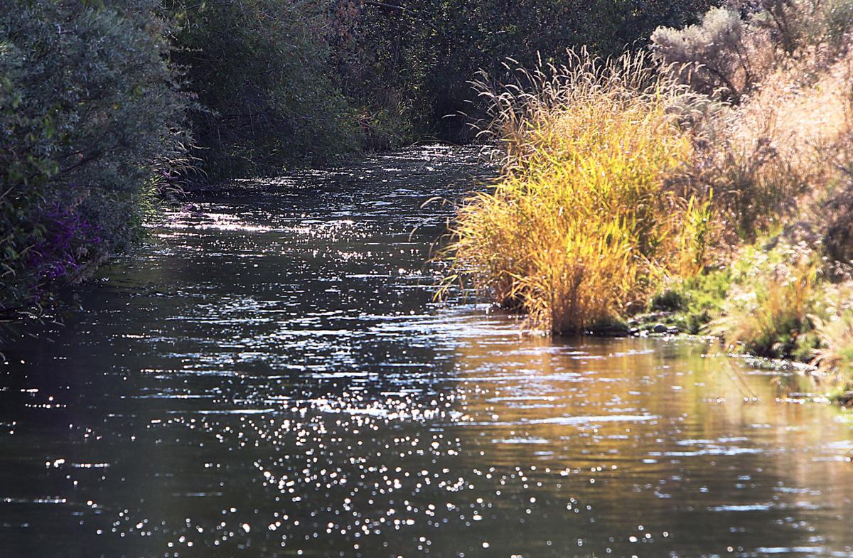 Irrigation season begins Water to fill Nampa & Meridian Irrigation