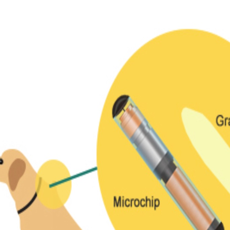 Get Your Animal Microchipped Community News Idahopress Com
