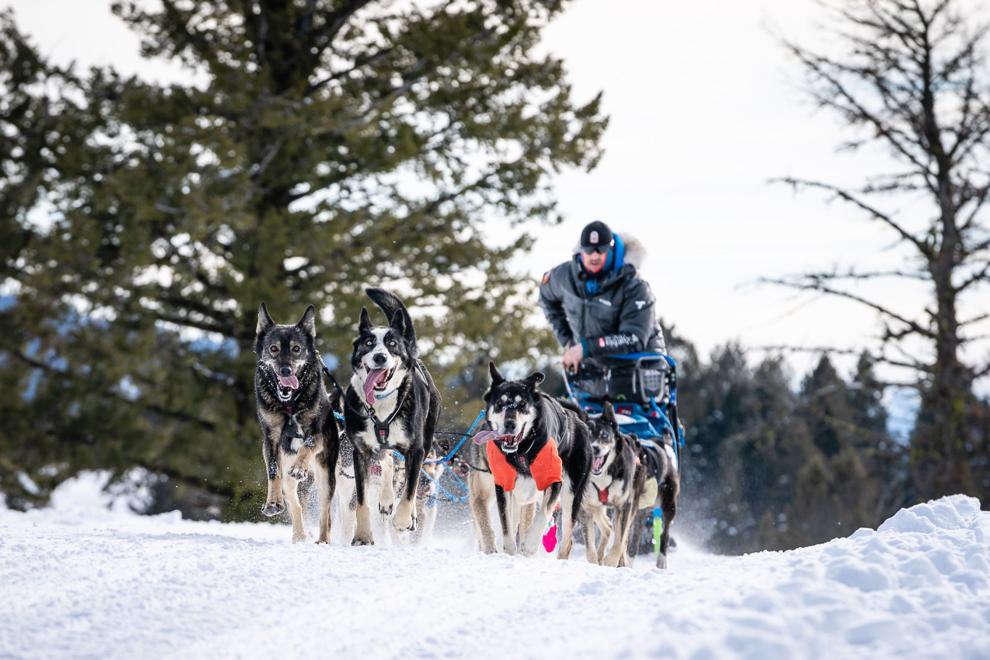 Mush! Idaho sled dog challenge bounding to McCall Winter Carnival
