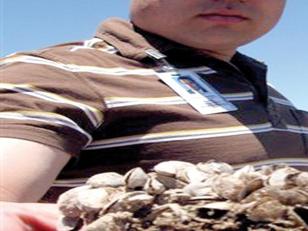 19++ How to get idaho invasive species sticker