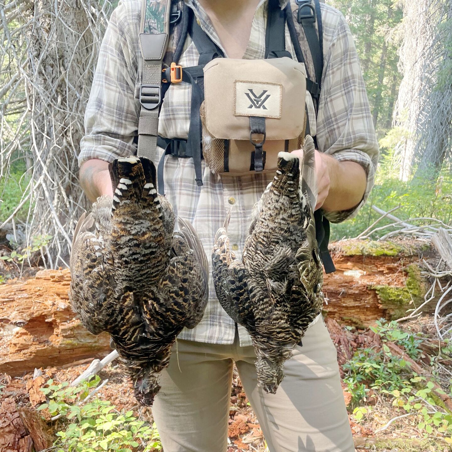 Idaho Fish & Game's 2023 Upland Game Bird Outlook | Local Sports