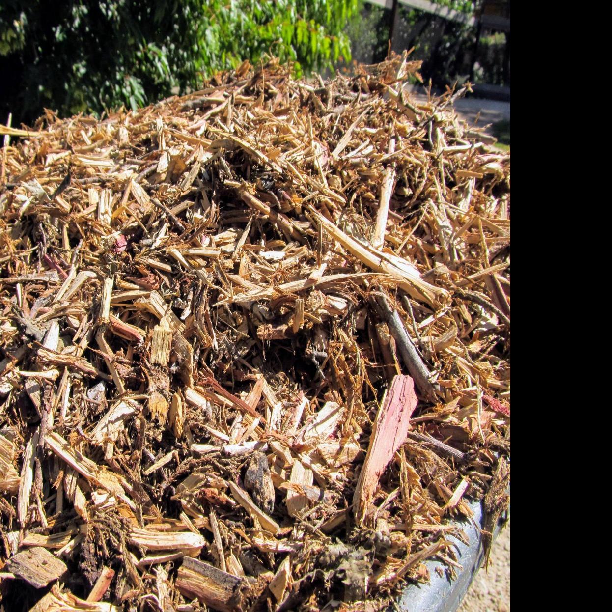 Weed it and reap: Use wood chips for weed control