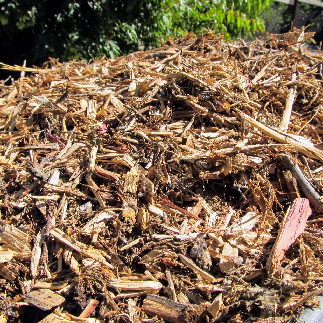 Weed it and reap: Use wood chips for weed control, Life