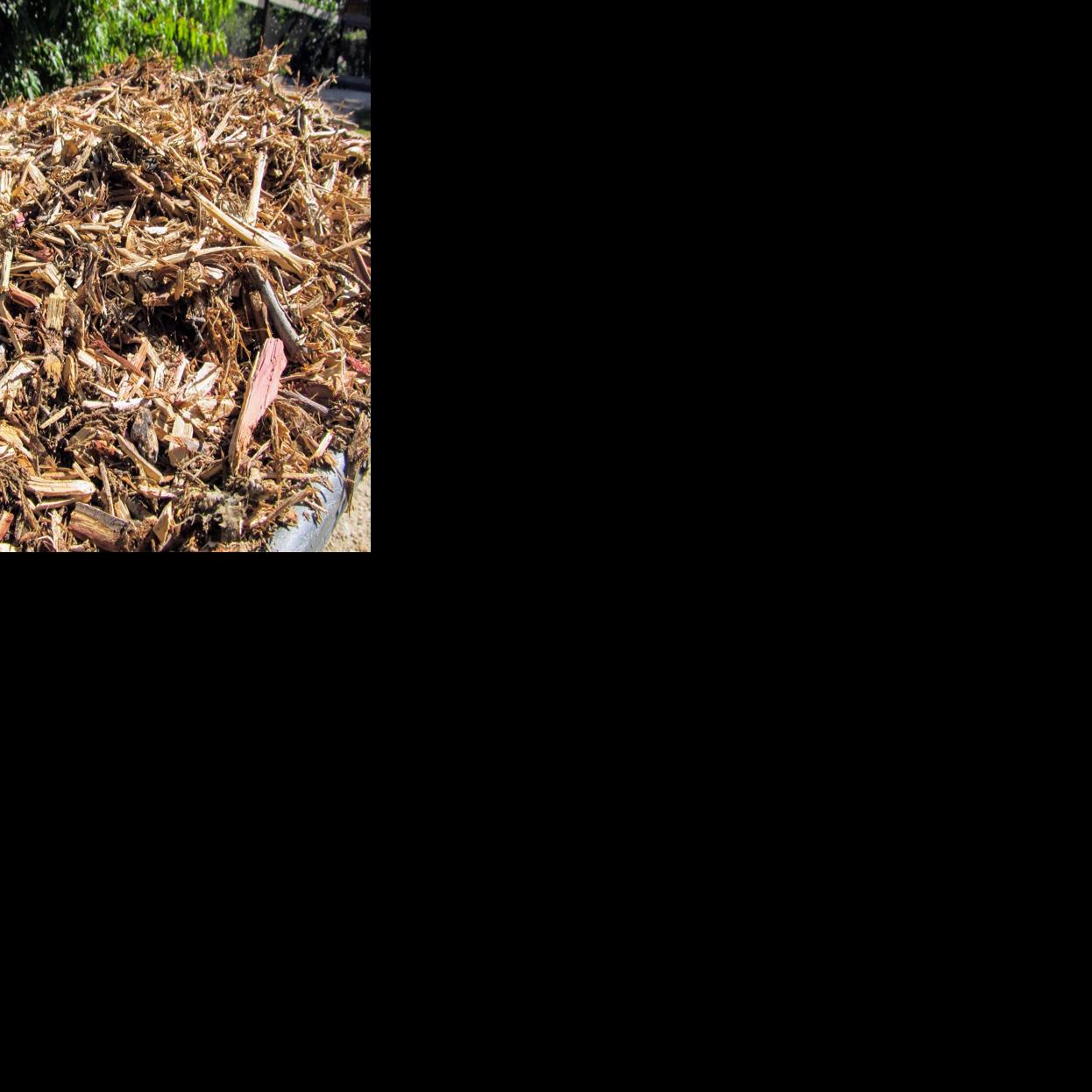 Weed it and reap Use wood chips for weed control Life