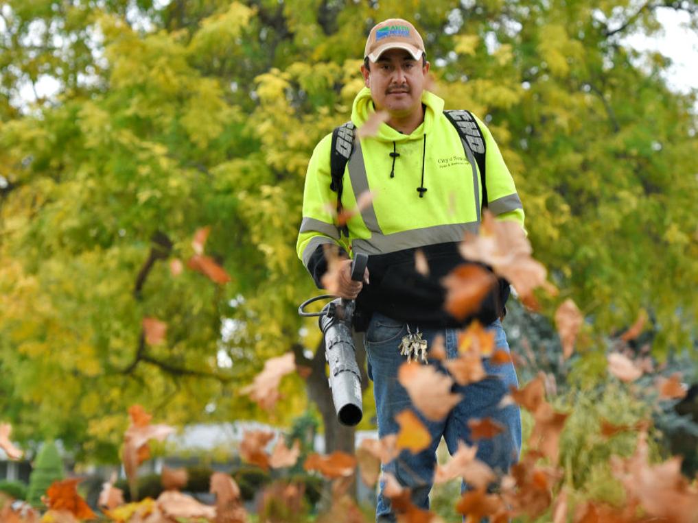 Weekly Yard Waste Collection  Midland, MI - Official Website