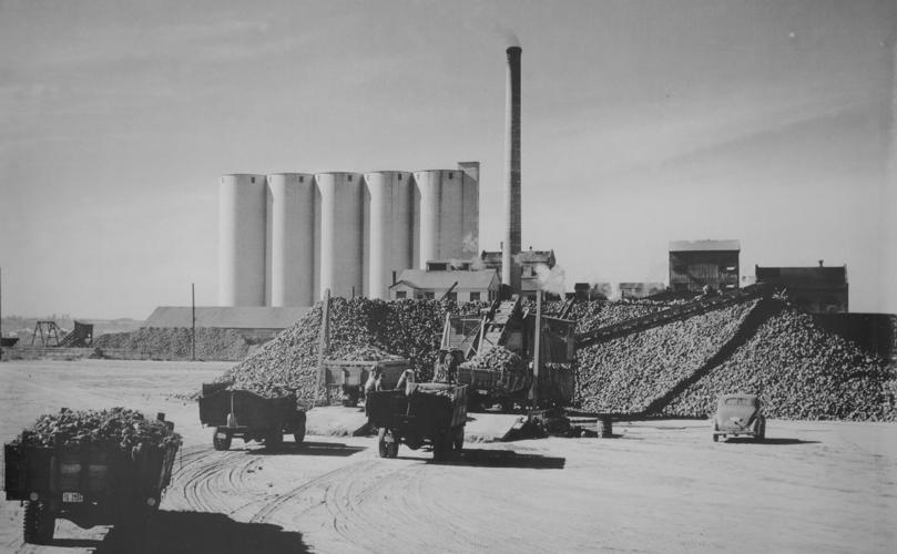 Amalgamated Sugar Celebrates 75 years in Nampa Nampa