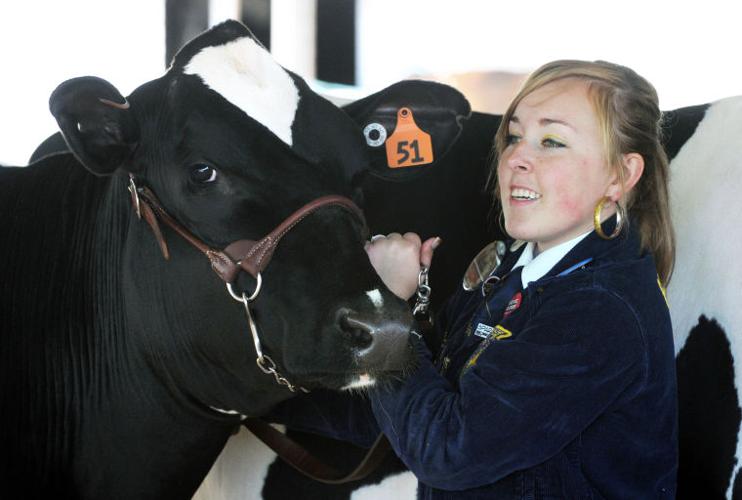 Meridian Dairy Days Cattle Show Photo Gallery
