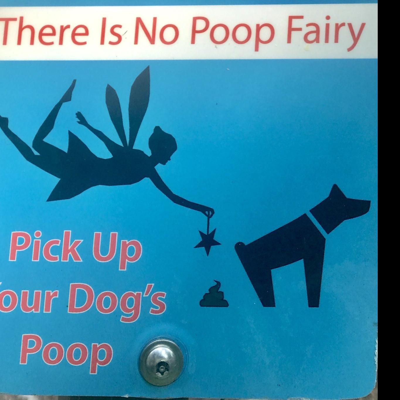 what happens if you dont pick up your dogs poop