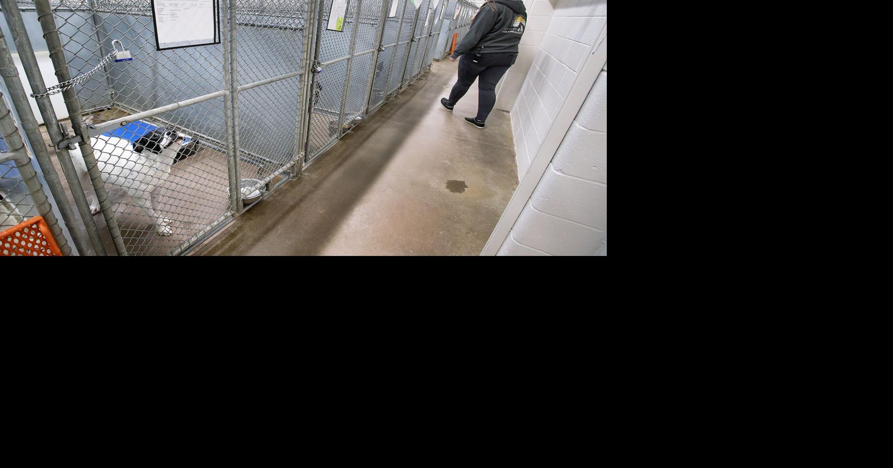 West Valley Humane Society on the brink of crisis, or a new chapter