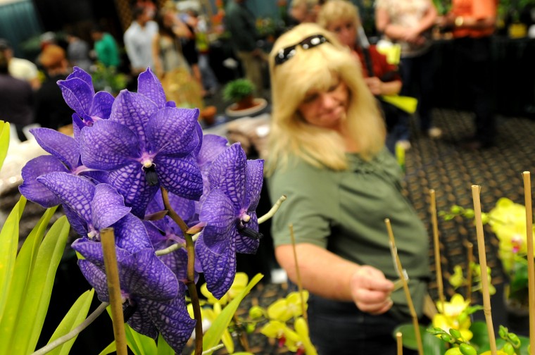 Boise Flower and Garden Show Photo Gallery