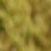 e04fc45a-f8c1-5545-818f-60e7a7f806a8.pre