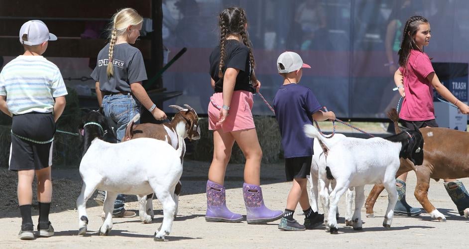 Longstanding tradition Canyon County Fair up and running in Caldwell