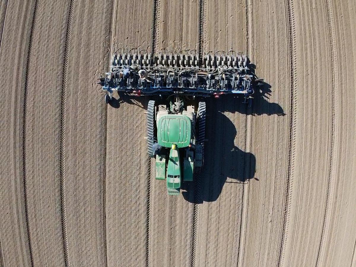 Spuds Are Tops But Onions Worth The Challenge Farm Ranch