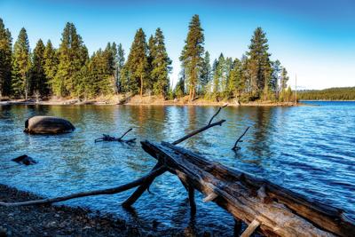 Idaho State Ponderosa Park with tree hanging over the lake
