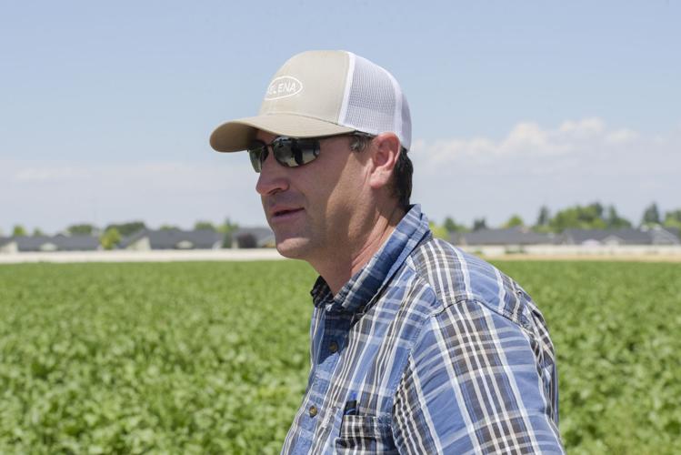 Heavy irrigation flows give Nampa farmer longer growing season, ample