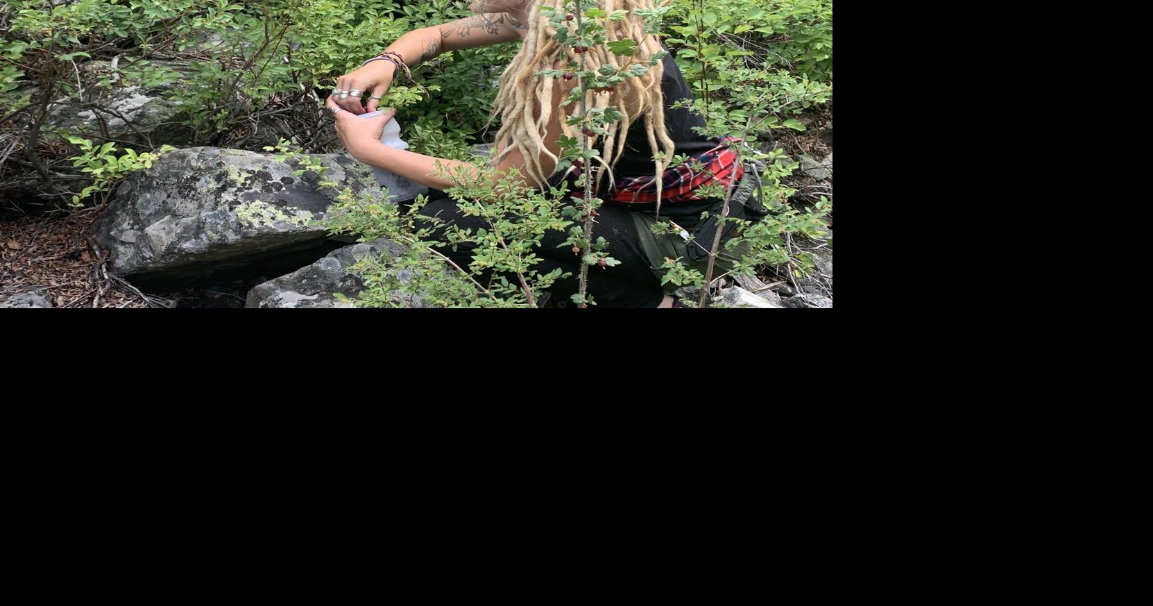 From the desk of Tom Claycomb: Picking wild huckleberries | Community ...