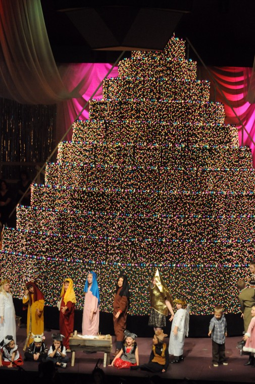 2011 Living Christmas Tree Photo Gallery