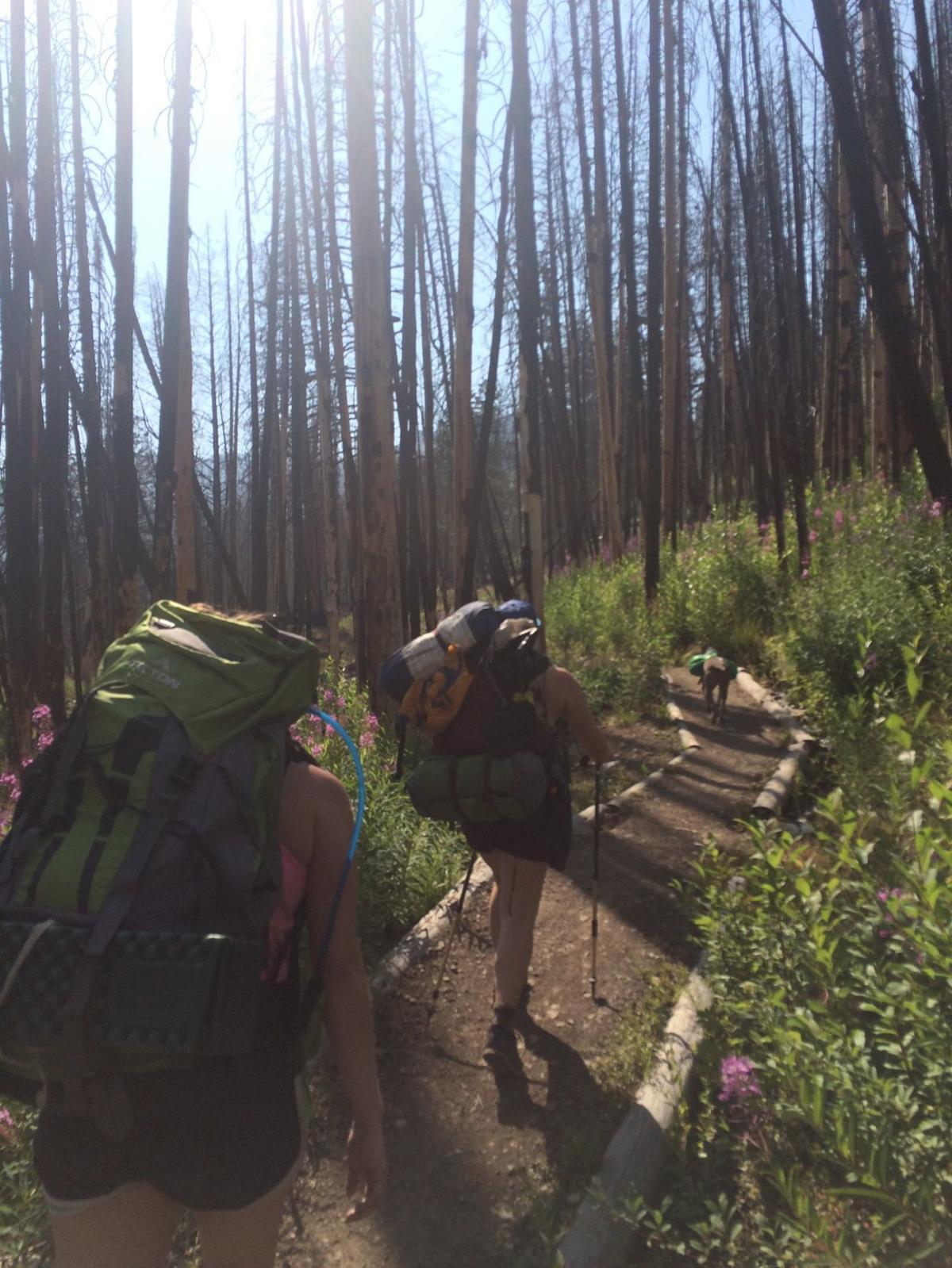 Fall day hikes in Sun Valley Outdoors News