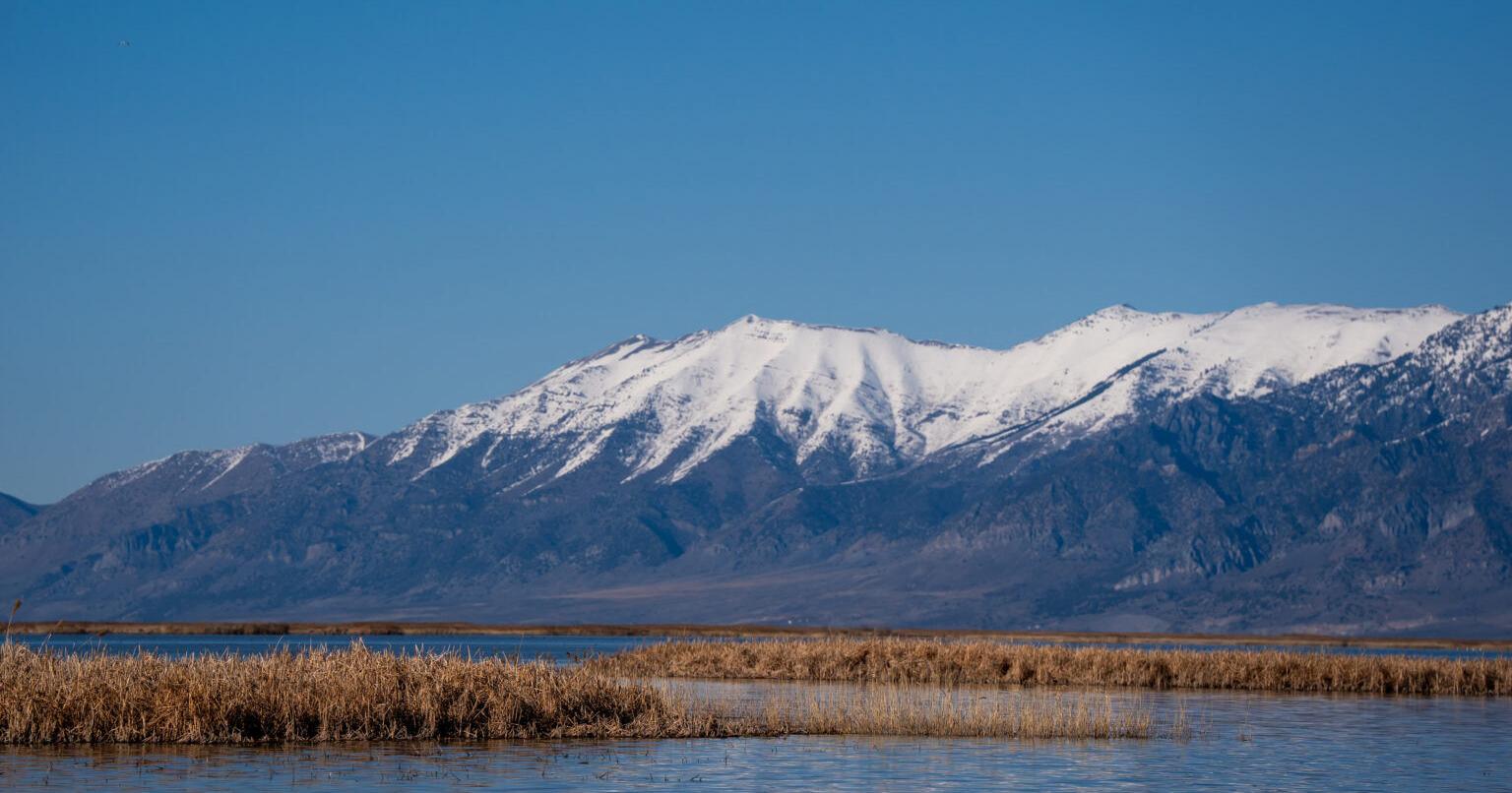 Great Salt Lake 'much healthier' heading into the summer than in recent years | Local News - Vimarsana News