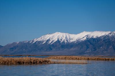 Great Salt Lake much healthier heading into the summer than in recent