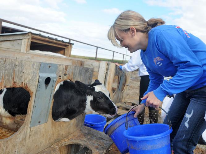Liberty Ranch Dairy Farm | Idaho Press-Tribune Multimedia Gallery ...