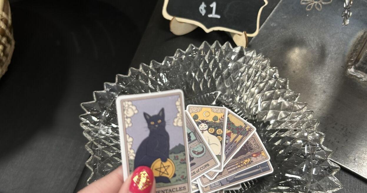 Find: Cat tarot card stickers at Fluff Hardware - Vimarsana News