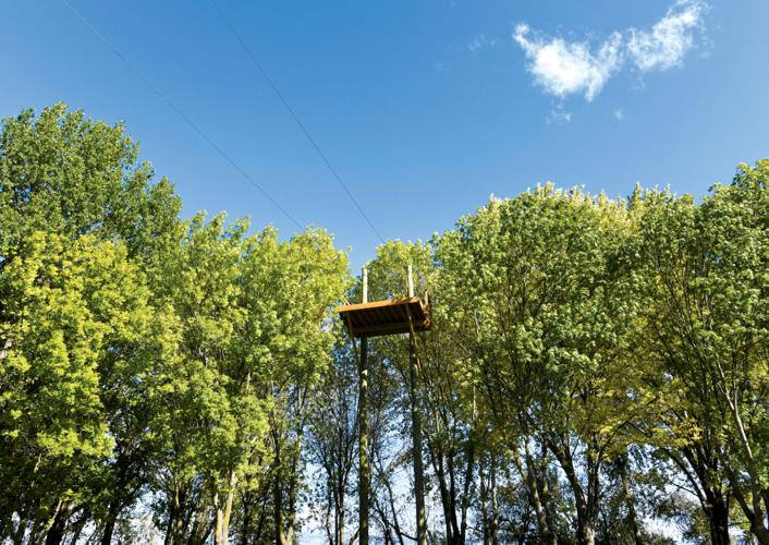 A zip around the park Community