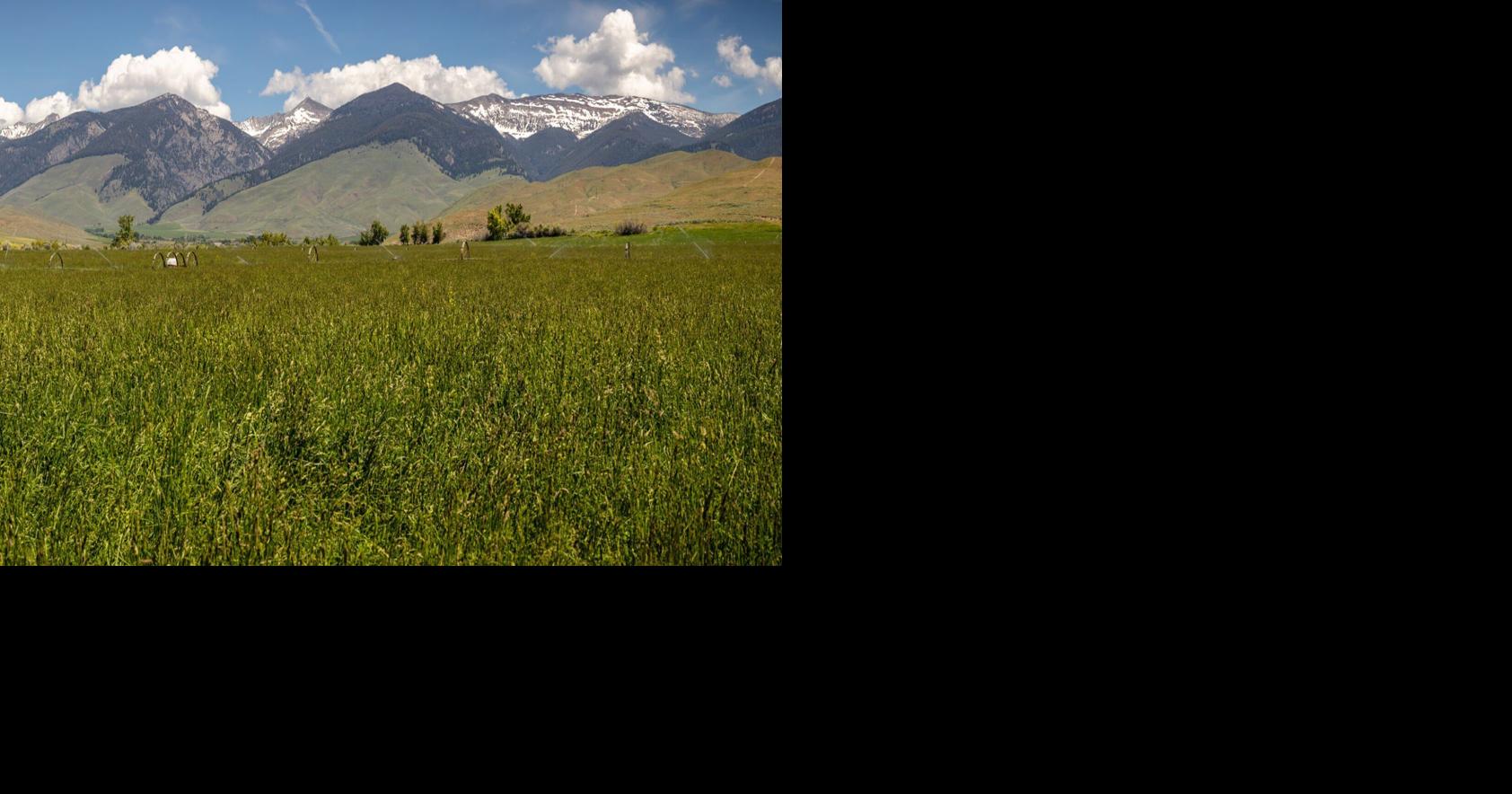 'Tens of thousands' of farmers could face water curtailment this year