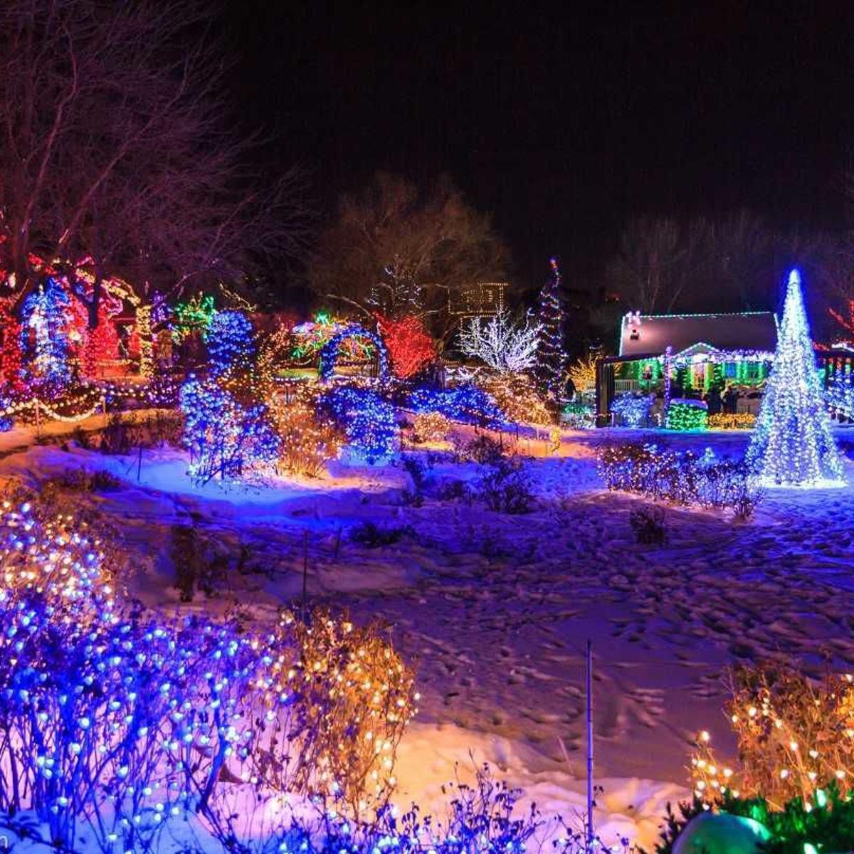 Go See It Winter Garden Aglow Life Idahopress Com