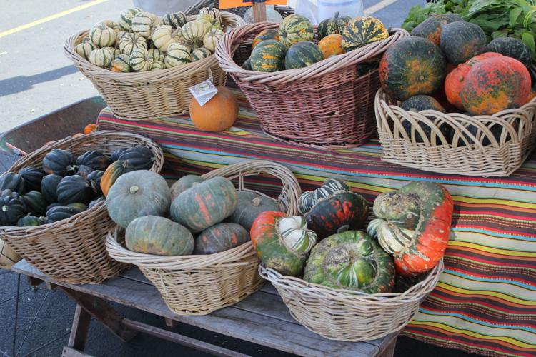 Vine and Branch Ranch bolsters Sunnyslope’s bounty of flavors Life