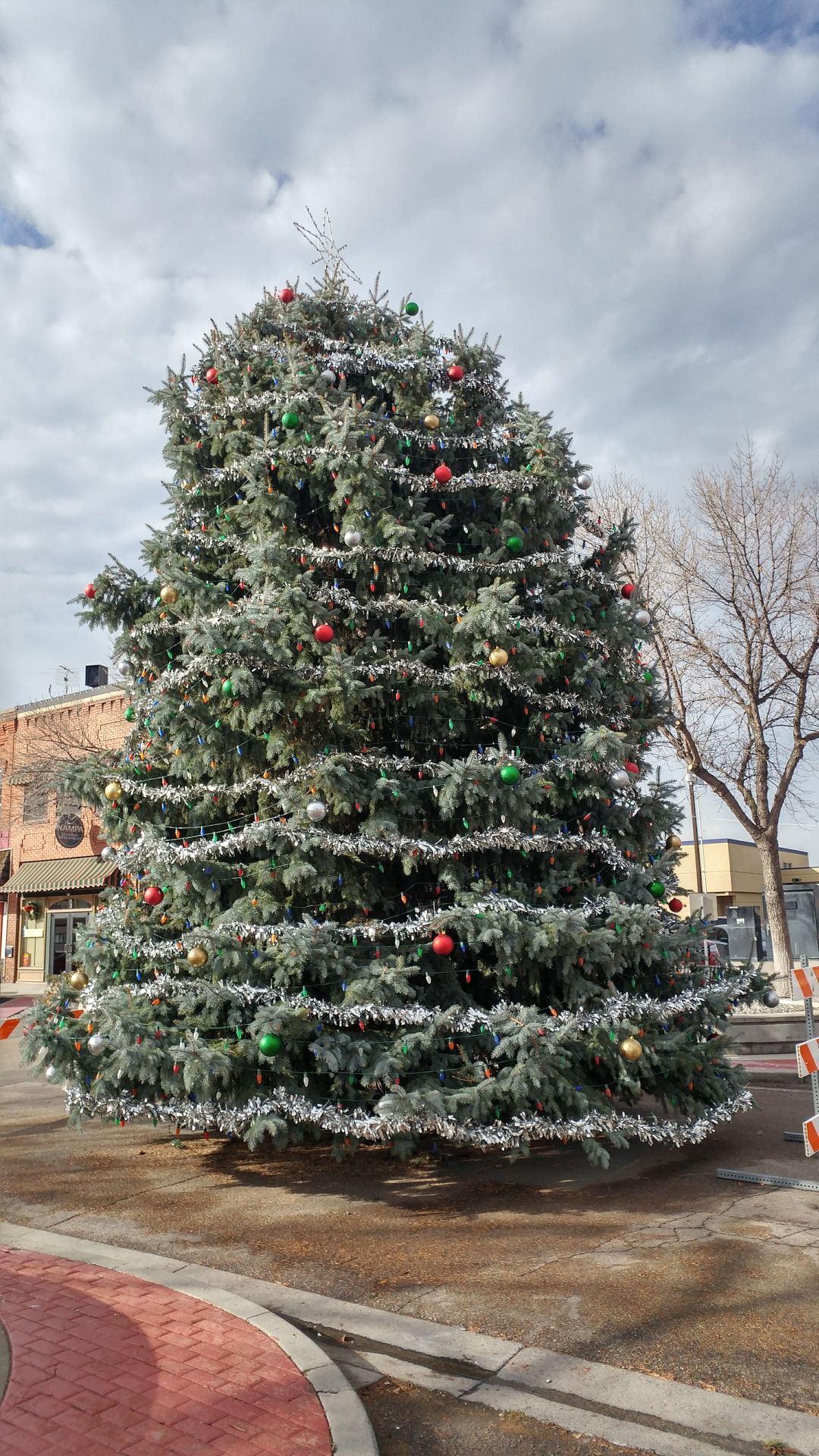 Community invited to downtown Nampa tree lighting Local News