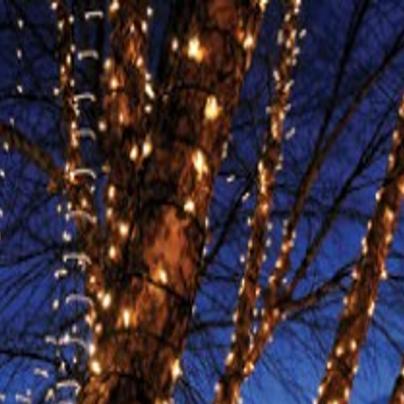 Winter Garden Aglow Transforms The Idaho Botanical Garden Into A