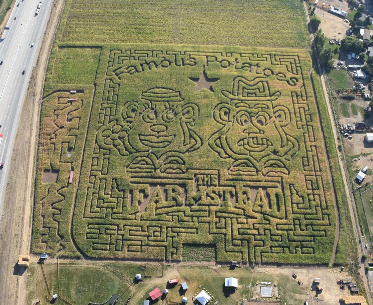 The Farmstead Connects Community To Agriculture Through Experience Local News Idahopress Com