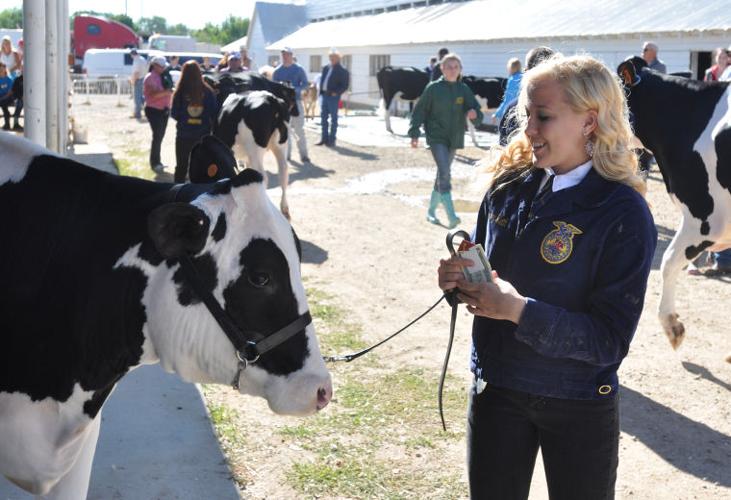 Meridian Dairy Days Cattle Show Photo Gallery