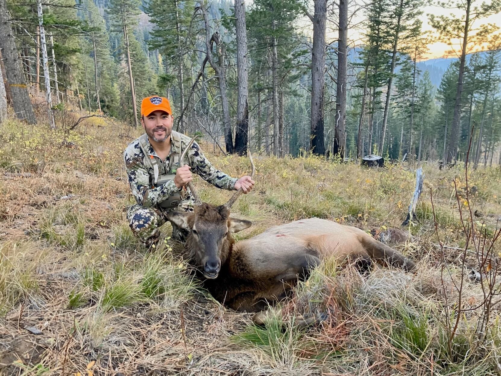 Skin in the game: Idaho's new policy requires out-of-state hunters to ...