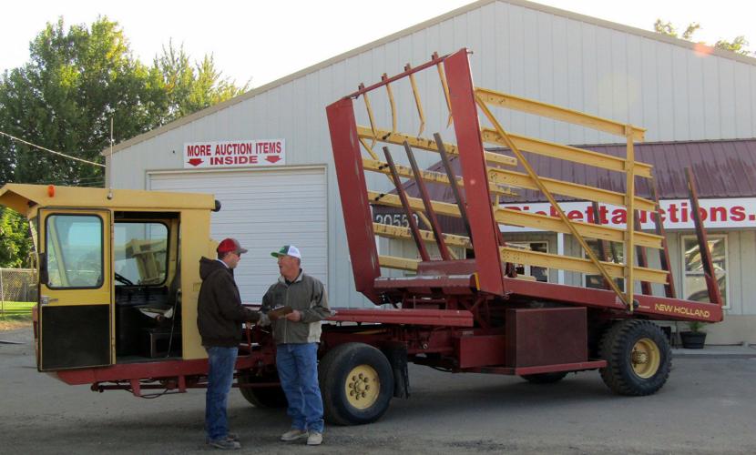 Auction industry adapts to an online world Livestock