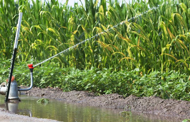 Local water districts take measures to conserve during unprecedented