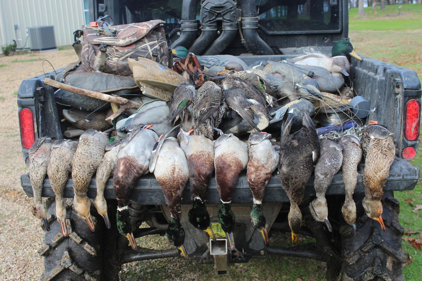 Claycomb: Duck hunting in the ultimate duck environment
