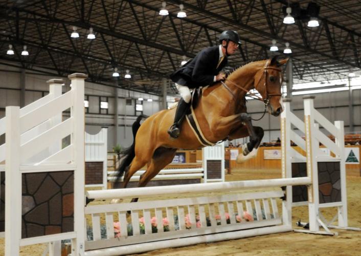 Arabian Sport Horse Nationals Sports
